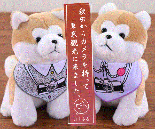 忠犬ハチ公のふるさと秋田から【ハチふるSHIBUYAmeetsAKITA】のバナーデザイン
